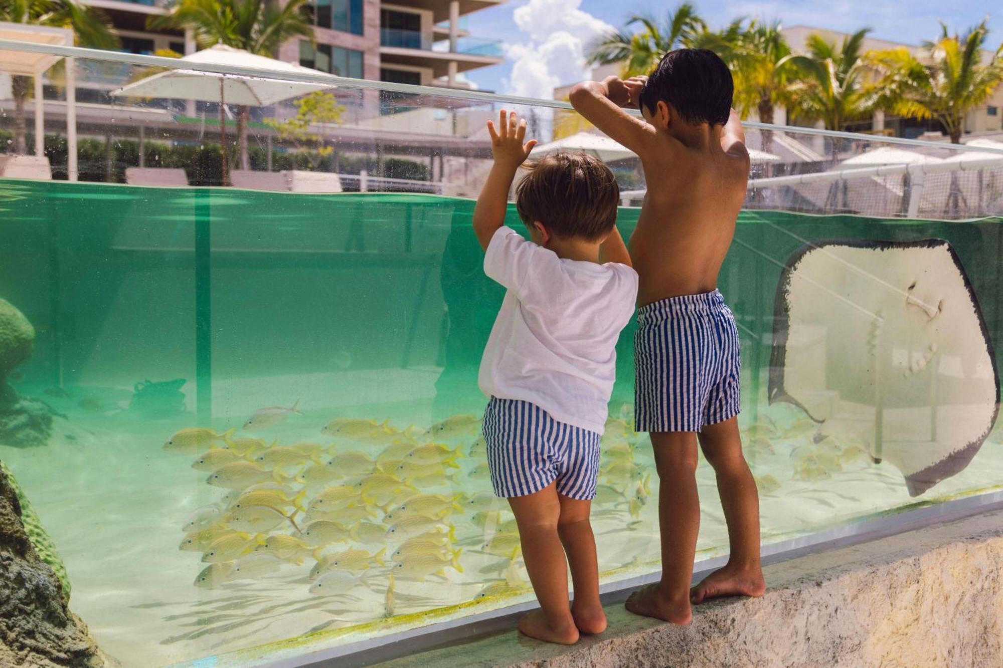 The St Regis Longboat Key Resort מראה חיצוני תמונה